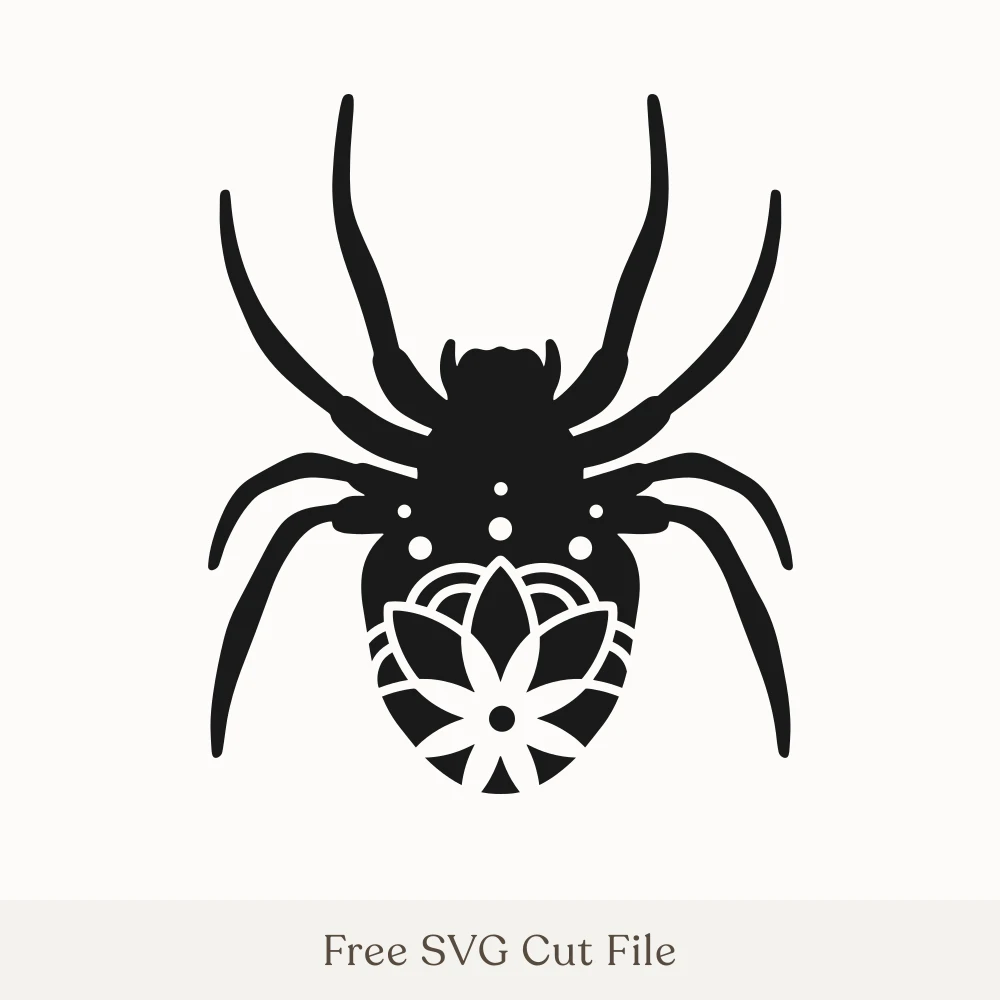 Mandala Spider