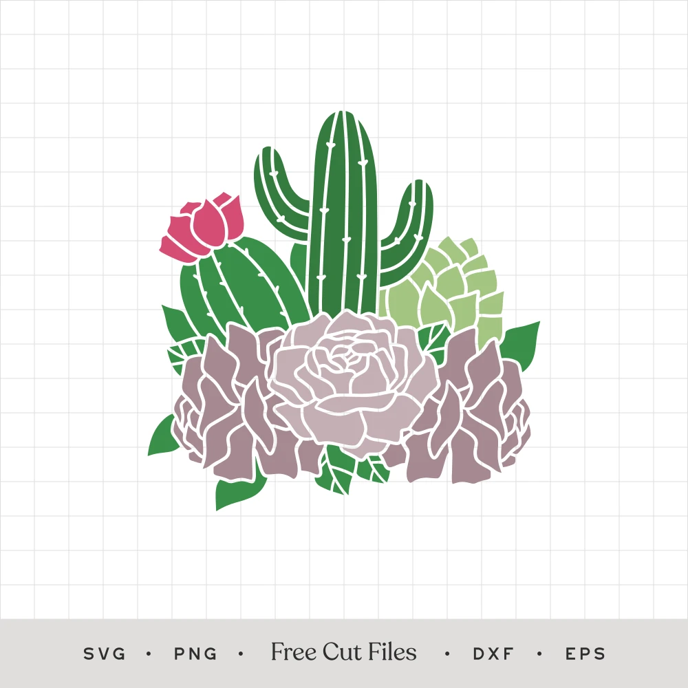 Cactus and Flowers