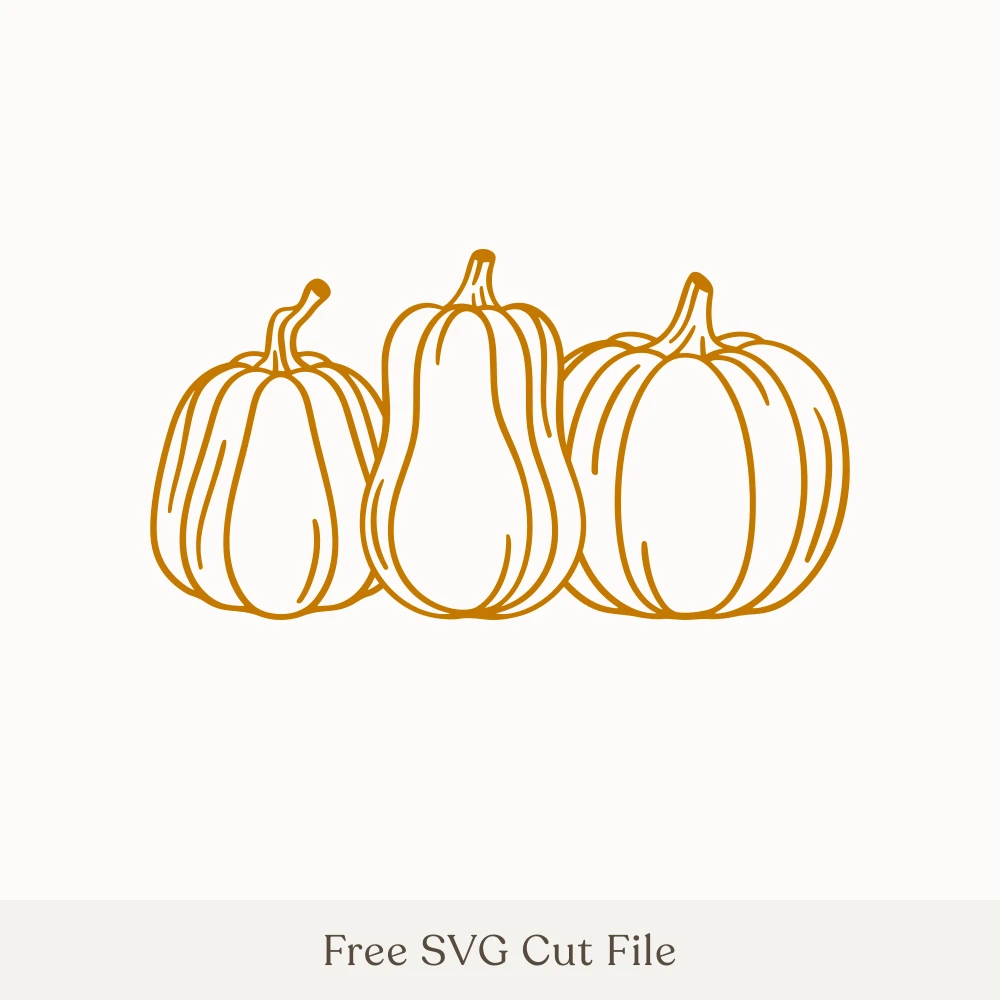 Three Pumpkins Outline