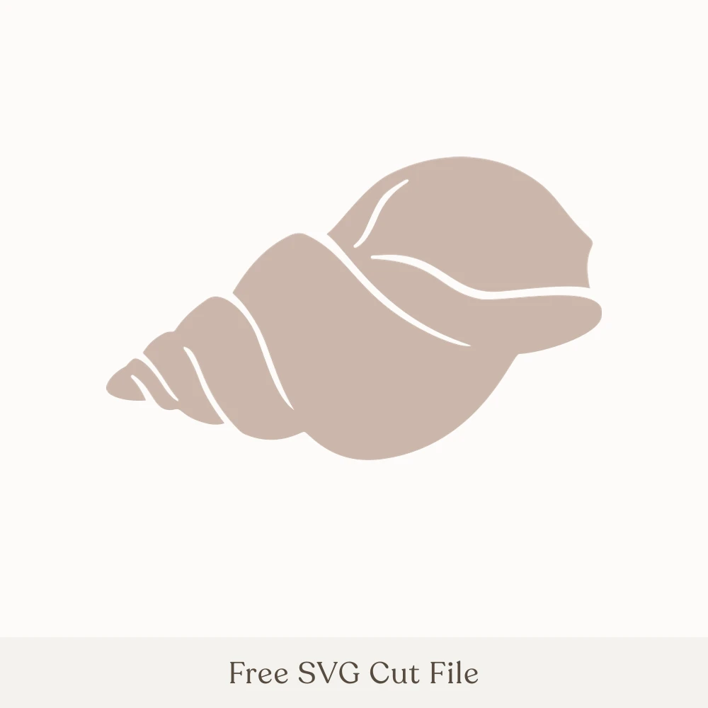 Spiral Sea Shell
