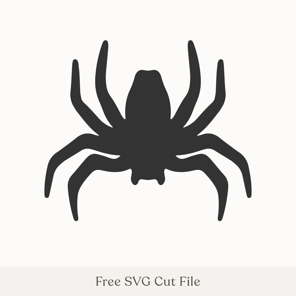 Spider Silhouette