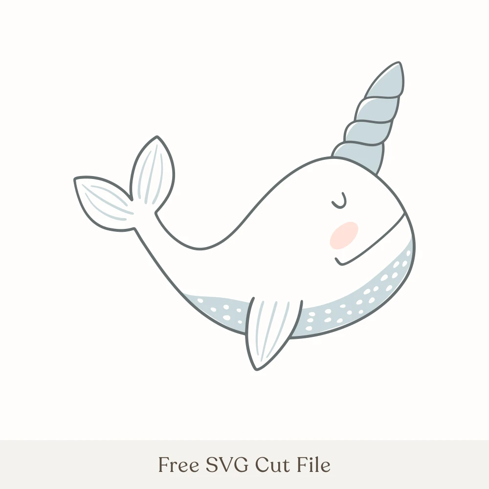 Cute Baby Narwhal