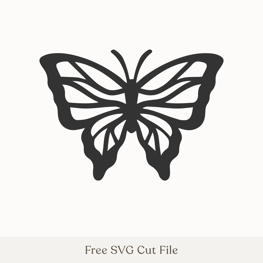 Detailed Butterfly Silhouette