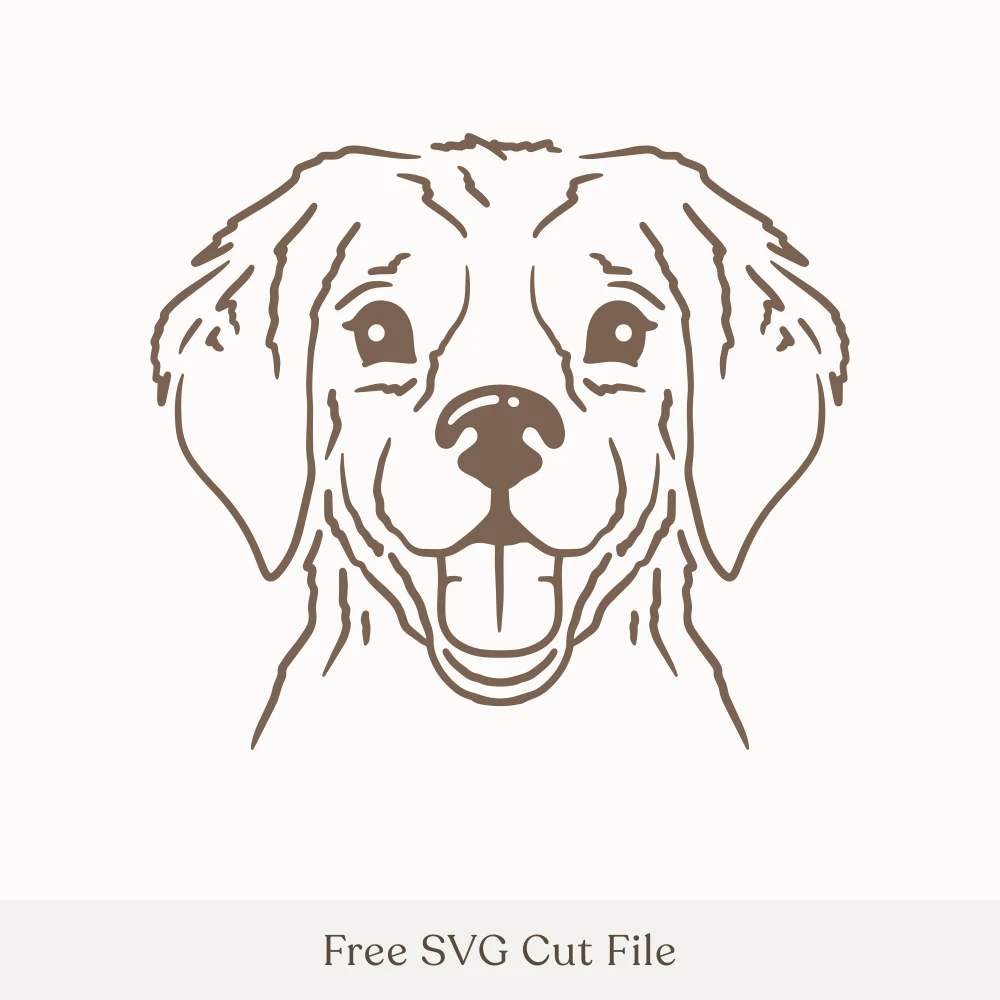 Golden Retriever Dog Face