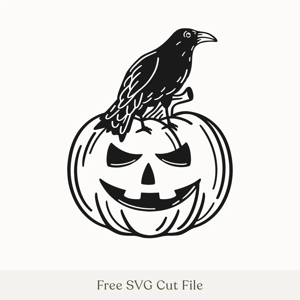 Raven on a Jack-O'-Lantern