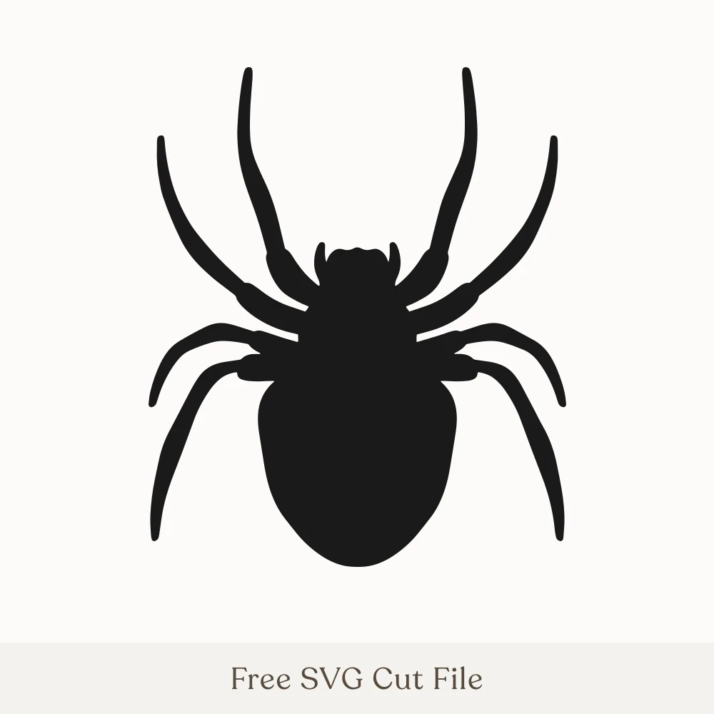 Spider Silhouette