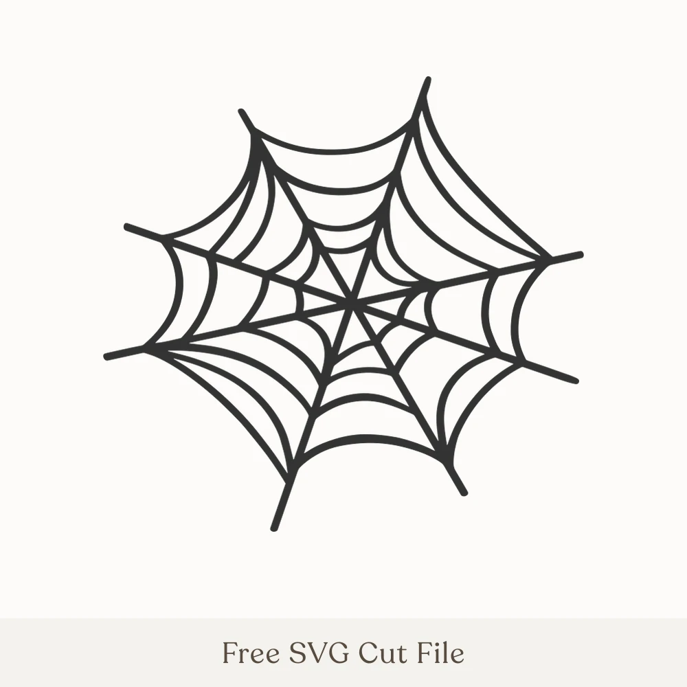 Spider Web