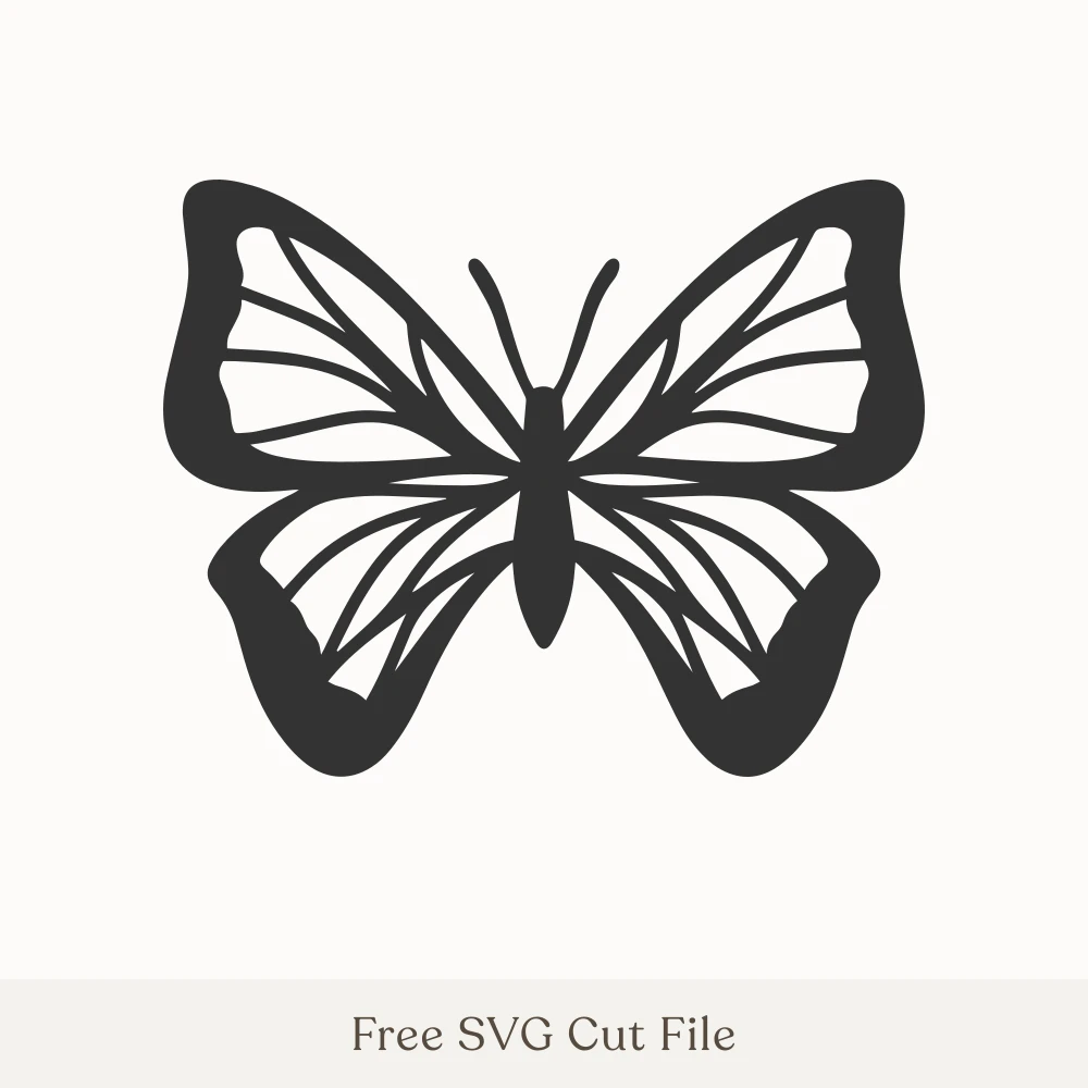 Detailed Butterfly Silhouette
