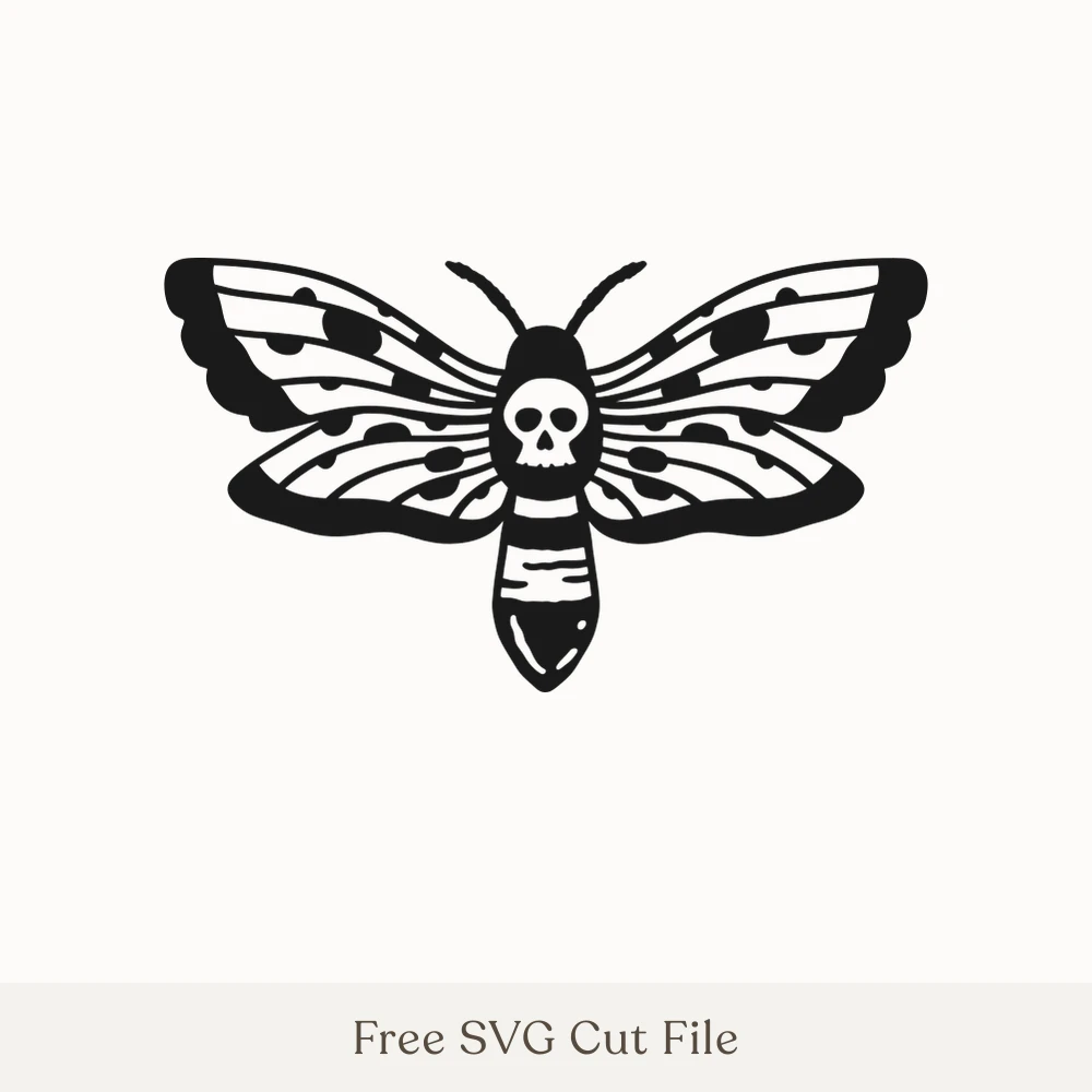 Death's Head Moth
