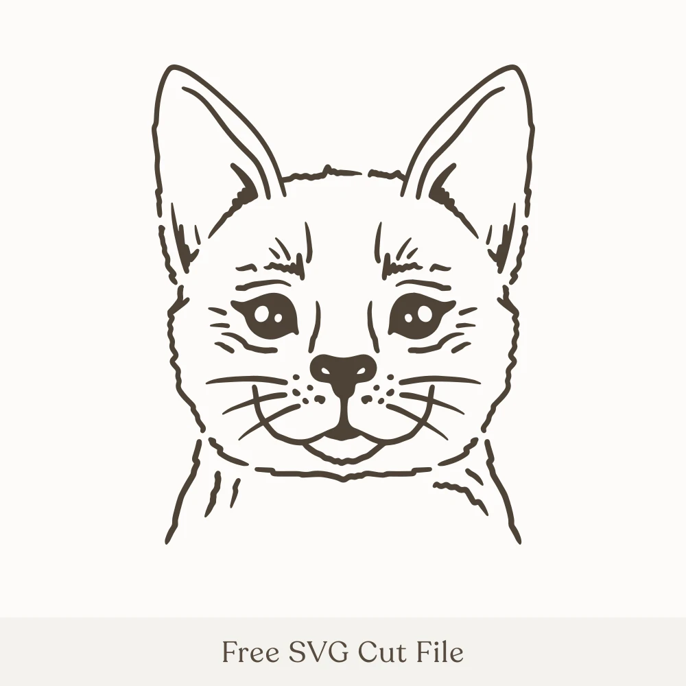 Cat Face Line Drawing
