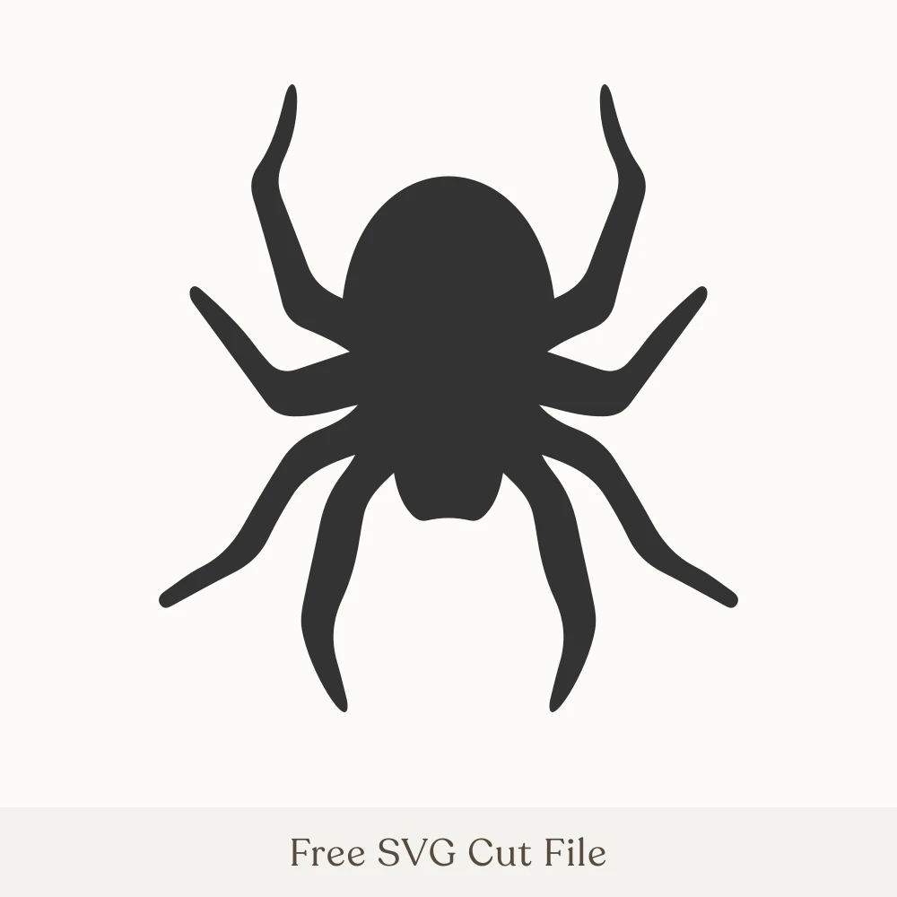 Spider Silhouette