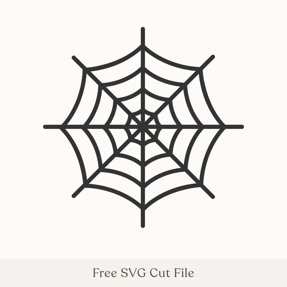 Spider Web